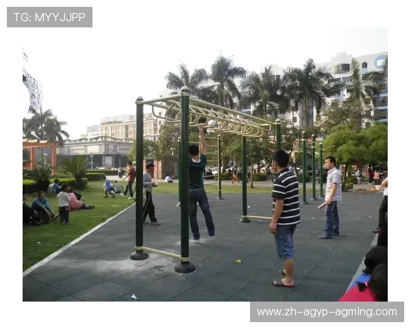 广场健身器材厂家:国内知名广场健身器材供应商 广场健身器材厂家:国内知名广场健身器材供应商