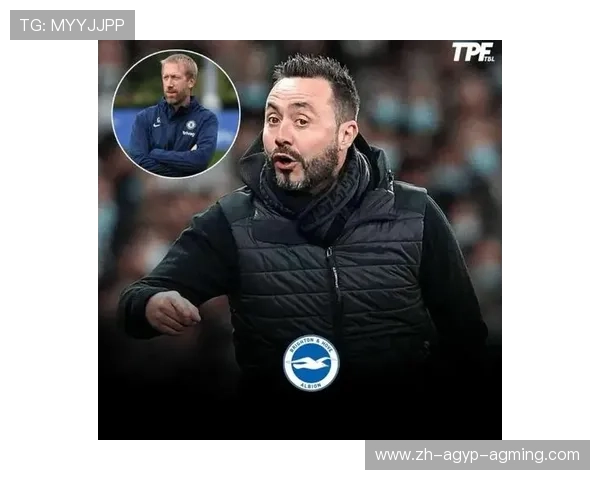 法甲各俱乐部老板背景与投资实力