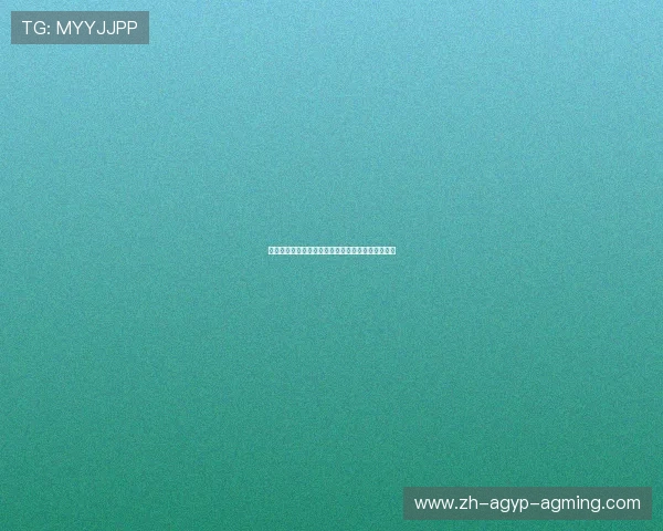 腹肌训练专用健身器材推荐，打造理想体育腹部曲线