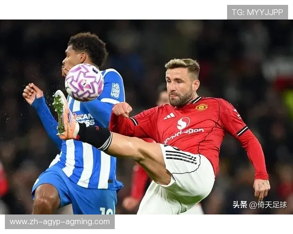 英超水晶宫队主教练的领导力与球队策略