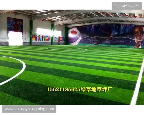 足球场地标准化对比赛公平性和竞技质量的重要意义